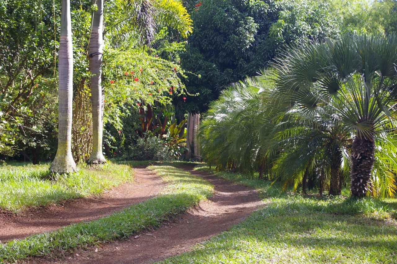 Steelgrass Farm road